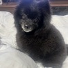 ふまたろうさんのプロフィール画像