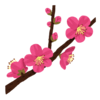 紅梅白梅さんのプロフィール画像