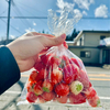オウシュンキさんのプロフィール画像
