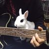 yeeeさんのプロフィール画像