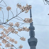 donaさんのプロフィール画像