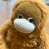 ぴのほさんのプロフィール画像