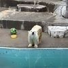 あまみょんさんのプロフィール画像