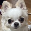 いちさんのプロフィール画像
