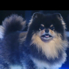 maomaoさんのプロフィール画像
