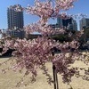 かなっぺさんのプロフィール画像