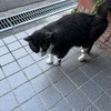 しょうやさんのプロフィール画像