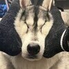 じゅんさんのプロフィール画像