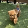 kimumiiiiさんのプロフィール画像