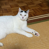 理花さんのプロフィール画像
