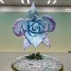 もちこさんのプロフィール画像