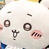 月野さんのプロフィール画像