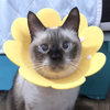 こっこ