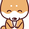 かしわぎさんのプロフィール画像