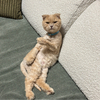 ひかるさんのプロフィール画像