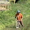サバイディー自然農法さんのプロフィール画像