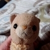 のり坊さんのプロフィール画像