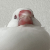 ぶんまるさんのプロフィール画像