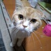 ゆのさんのプロフィール画像