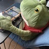 いしがみさんのプロフィール画像