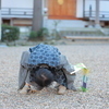 ちーままさんのプロフィール画像