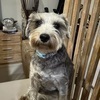 りんさんのプロフィール画像