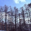 Vivienさんのプロフィール画像
