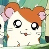 ハムちゃんさんのプロフィール画像