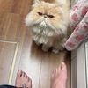 いっしさんのプロフィール画像