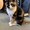 左脳さんのプロフィール画像